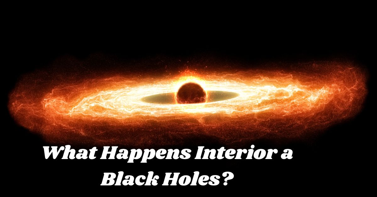 Black-Holes